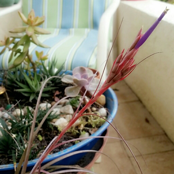 Meet your Posher - Picture 4 of 13